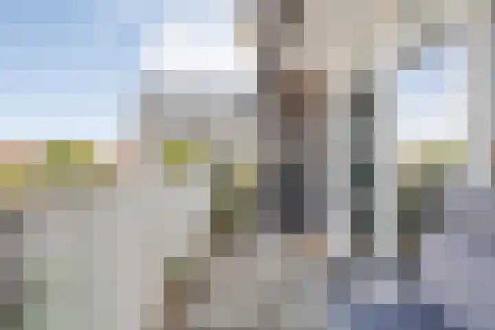 Weegbree 4 Havelte thumbnail 8
