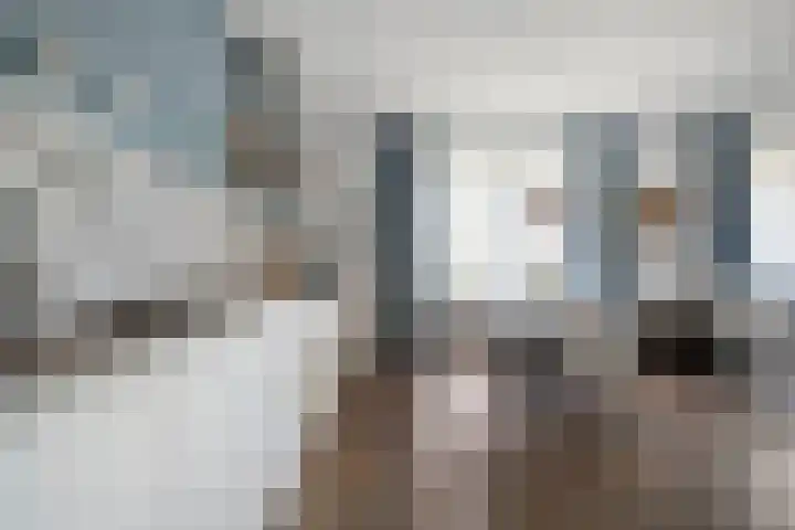 Weegbree 4 Havelte thumbnail 9
