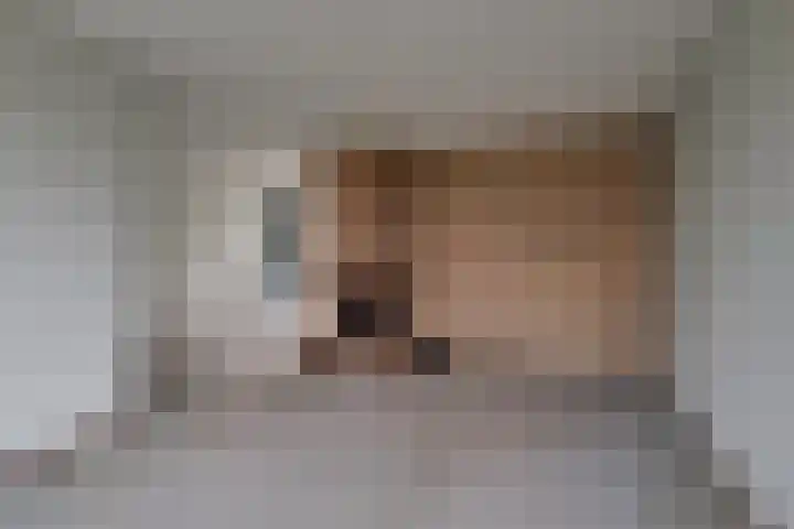 Weegbree 4 Opmeer thumbnail 10
