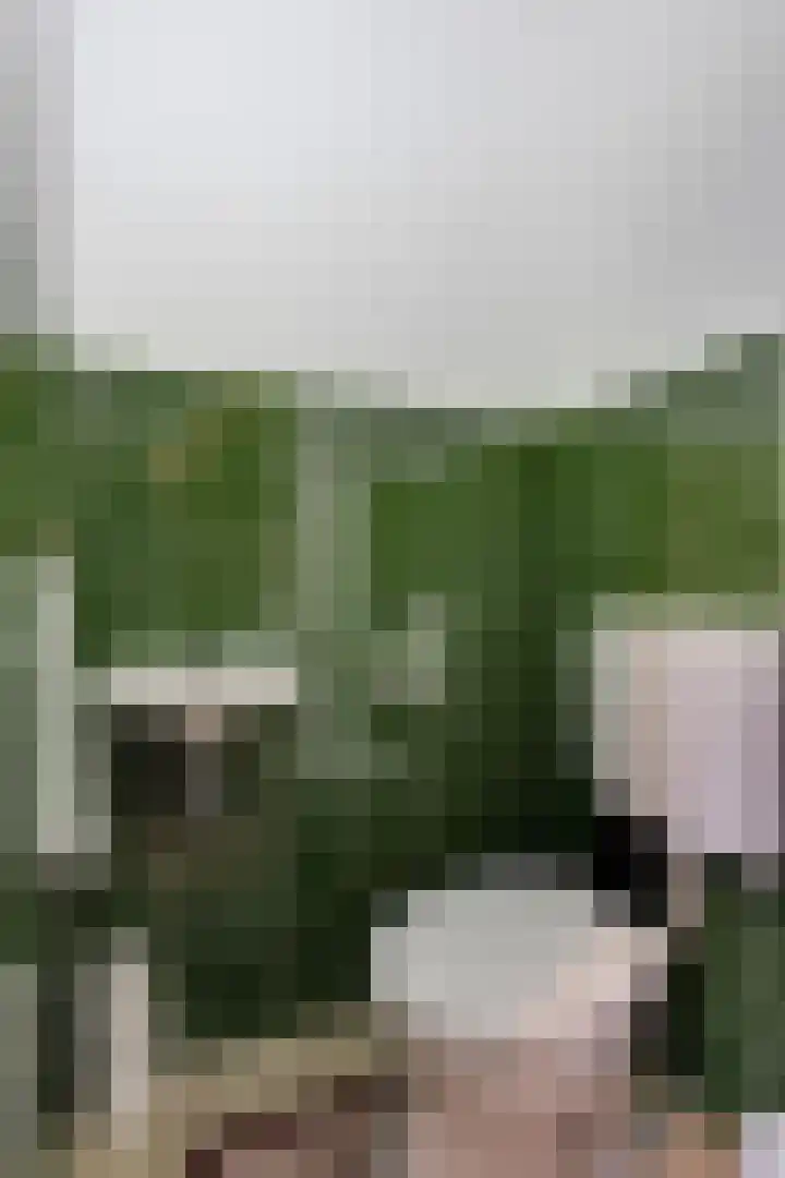 Weegbree 4 Opmeer thumbnail 27