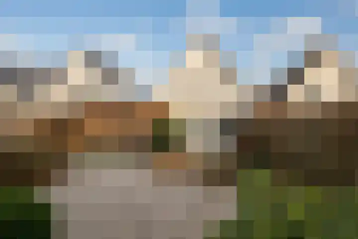 Weegbree 4 Opmeer foto 3