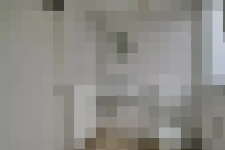 Weegbree 4 Opmeer thumbnail 38