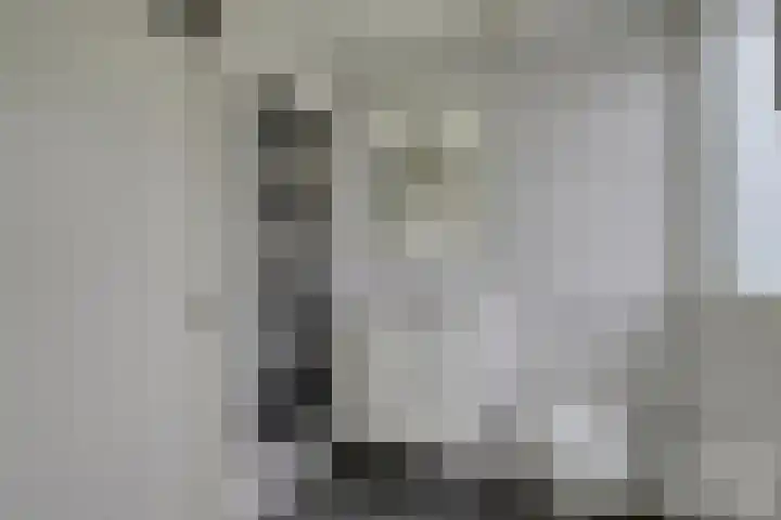 Weegbree 4 Opmeer thumbnail 39