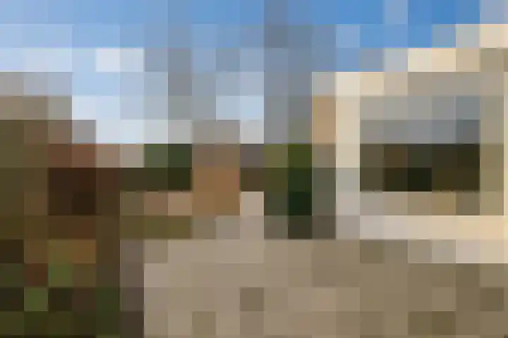 Weegbree 4 Opmeer thumbnail 42