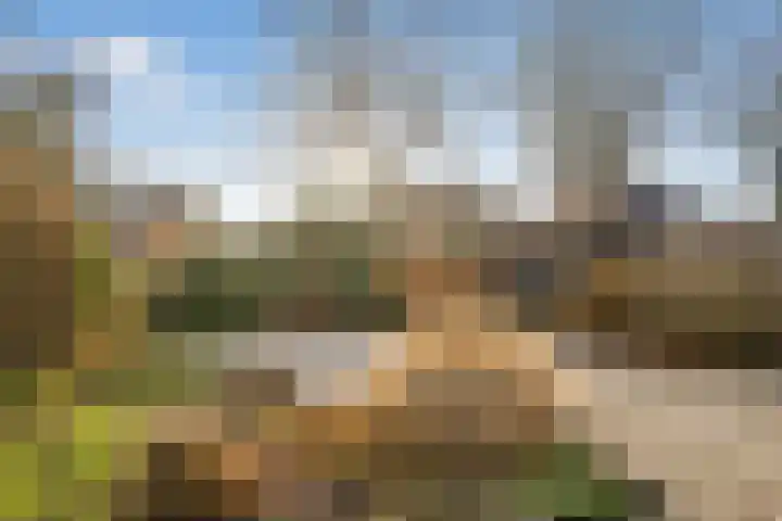 Weegbree 4 Opmeer thumbnail 43