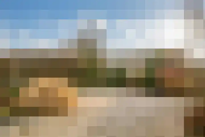 Weegbree 4 Opmeer thumbnail 44