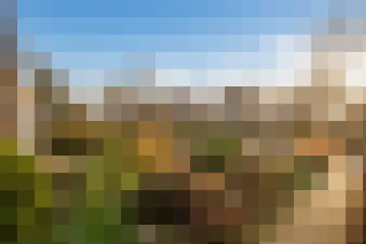 Weegbree 4 Opmeer thumbnail 45