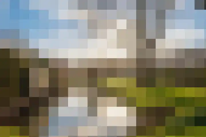 Weegbree 4 Opmeer thumbnail 46