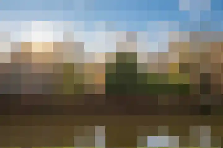 Weegbree 4 Opmeer thumbnail 47