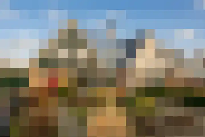 Weegbree 4 Opmeer thumbnail 48