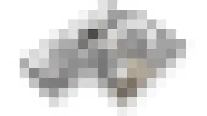 Weegbree 4 Opmeer thumbnail 52