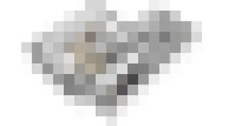 Weegbree 4 Opmeer thumbnail 53