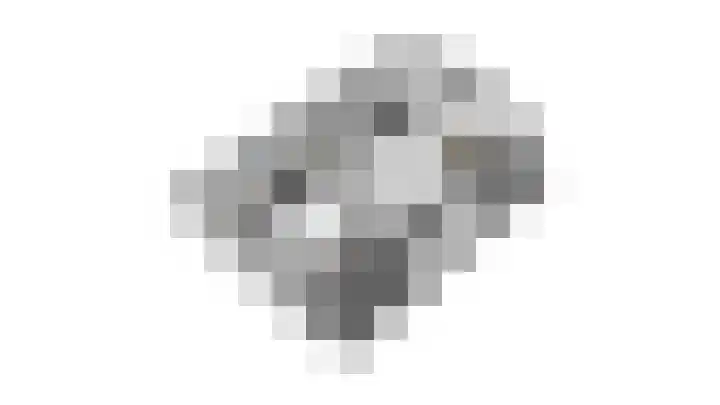 Weegbree 4 Opmeer thumbnail 55