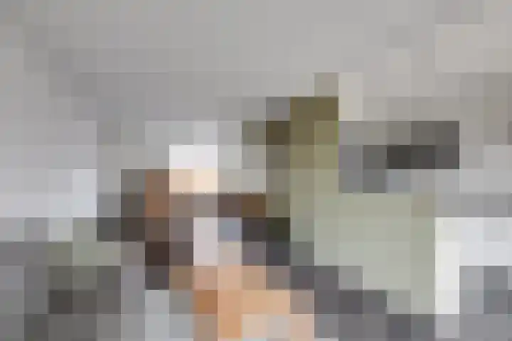 Weegbree 4 Udenhout thumbnail 11