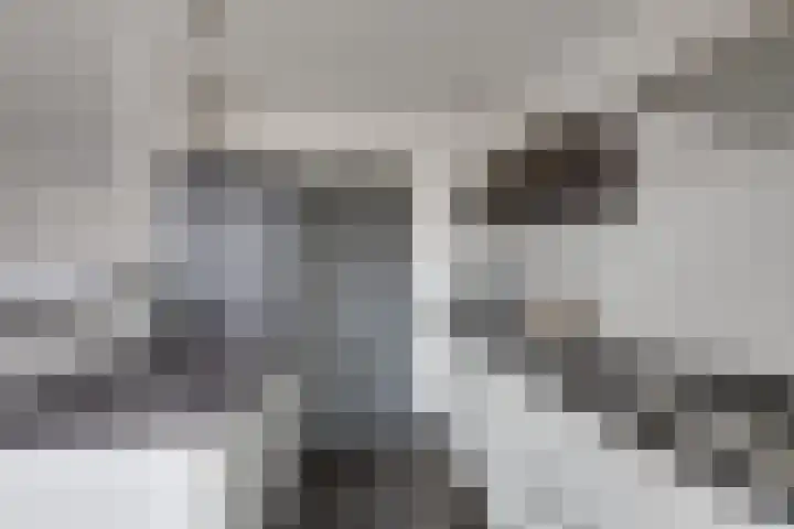 Weegbree 4 Udenhout thumbnail 13