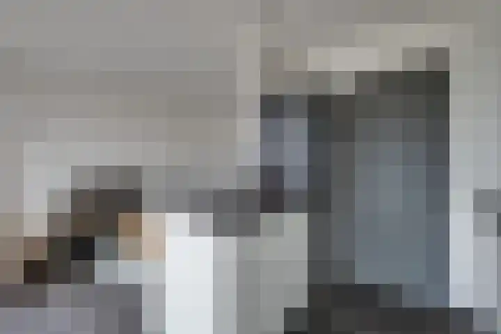 Weegbree 4 Udenhout thumbnail 14