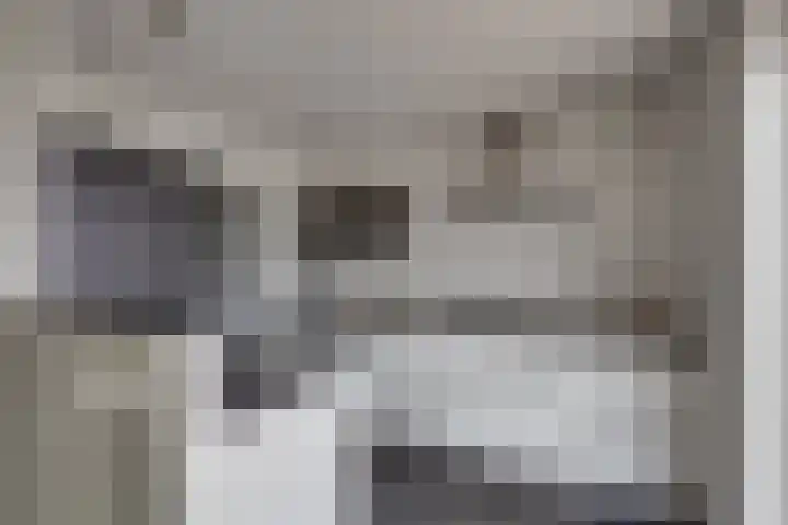 Weegbree 4 Udenhout thumbnail 15