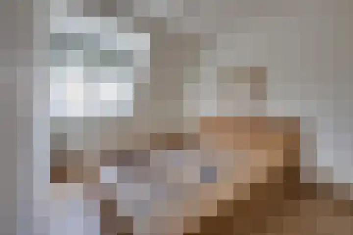 Weegbree 4 Udenhout thumbnail 17
