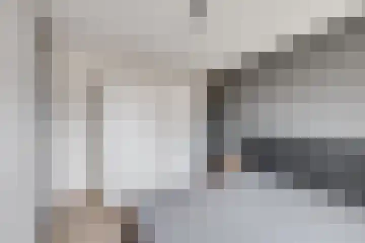 Weegbree 4 Udenhout thumbnail 19