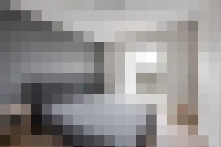 Weegbree 4 Udenhout thumbnail 20