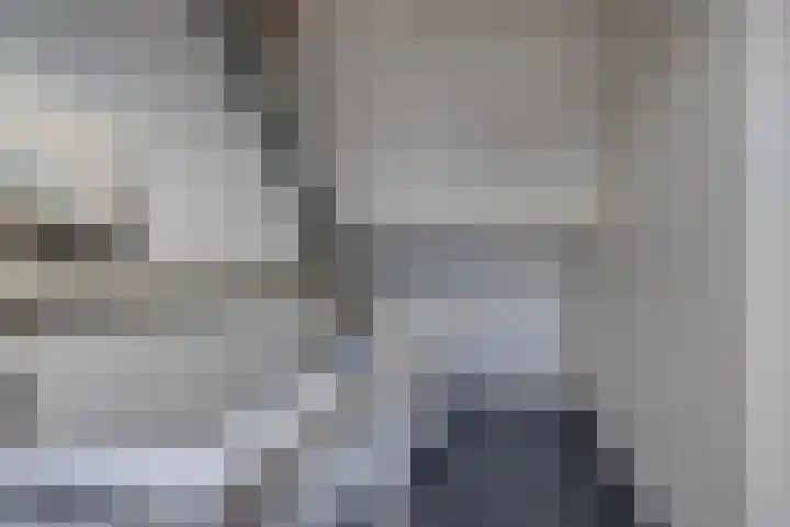 Weegbree 4 Udenhout thumbnail 28