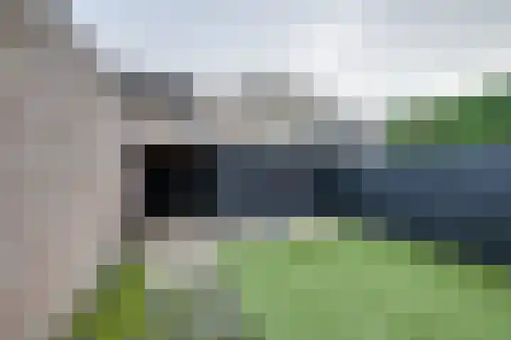 Weegbree 4 Udenhout thumbnail 31