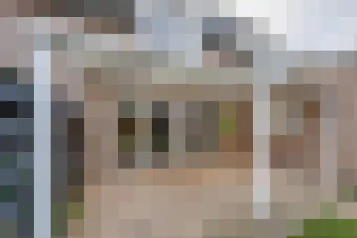Weegbree 4 Udenhout thumbnail 32