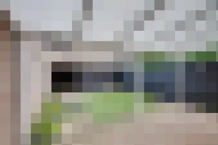 Weegbree 4 Udenhout thumbnail 34