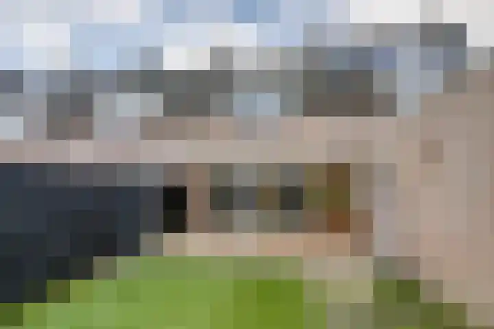 Weegbree 4 Udenhout thumbnail 35