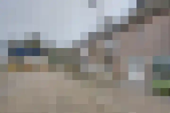 Weegbree 4 Udenhout thumbnail 4