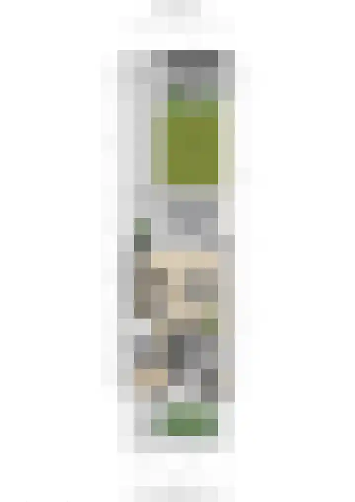 Weegbree 4 Udenhout thumbnail 48