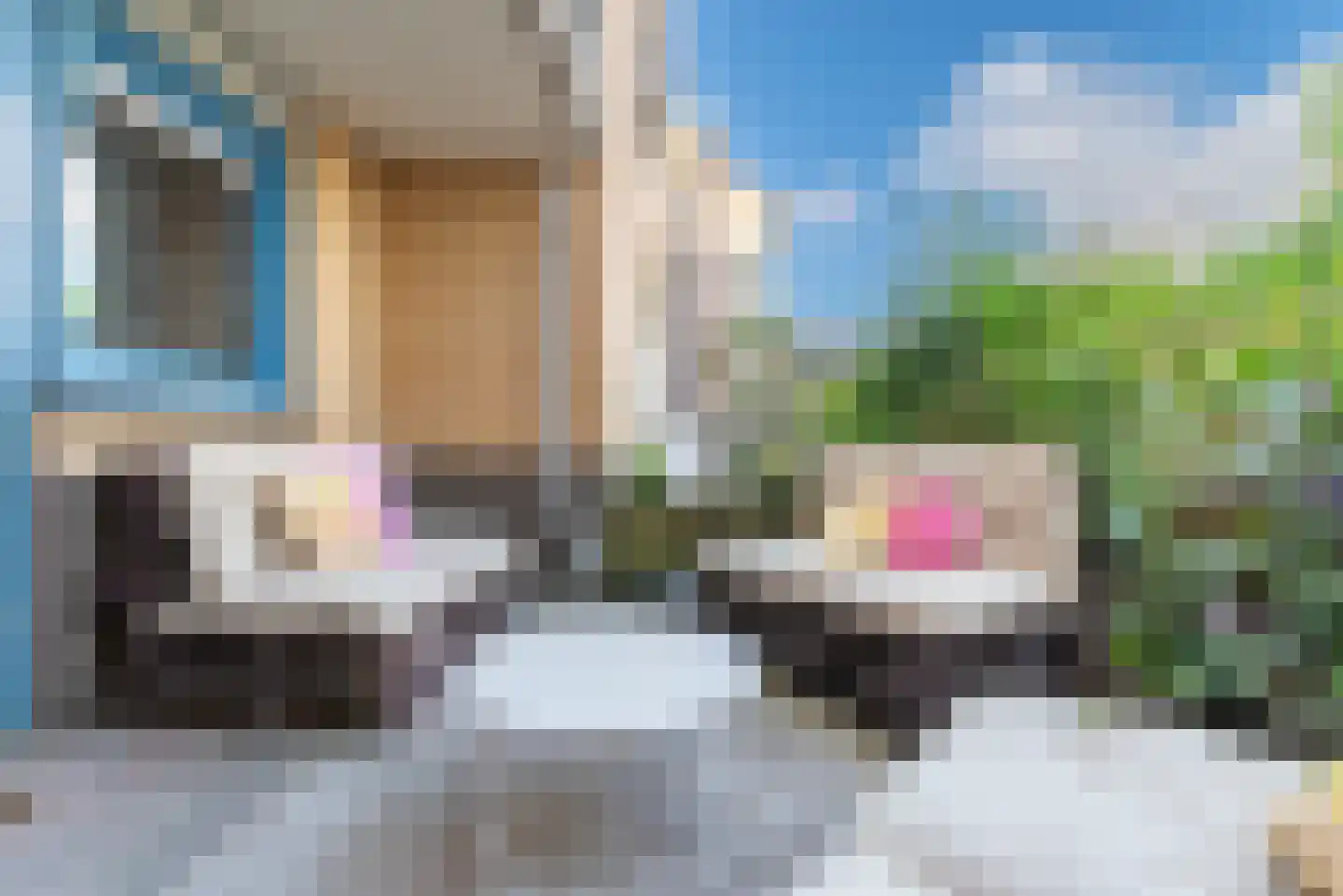 Weegbree 40 Veenendaal thumbnail 30
