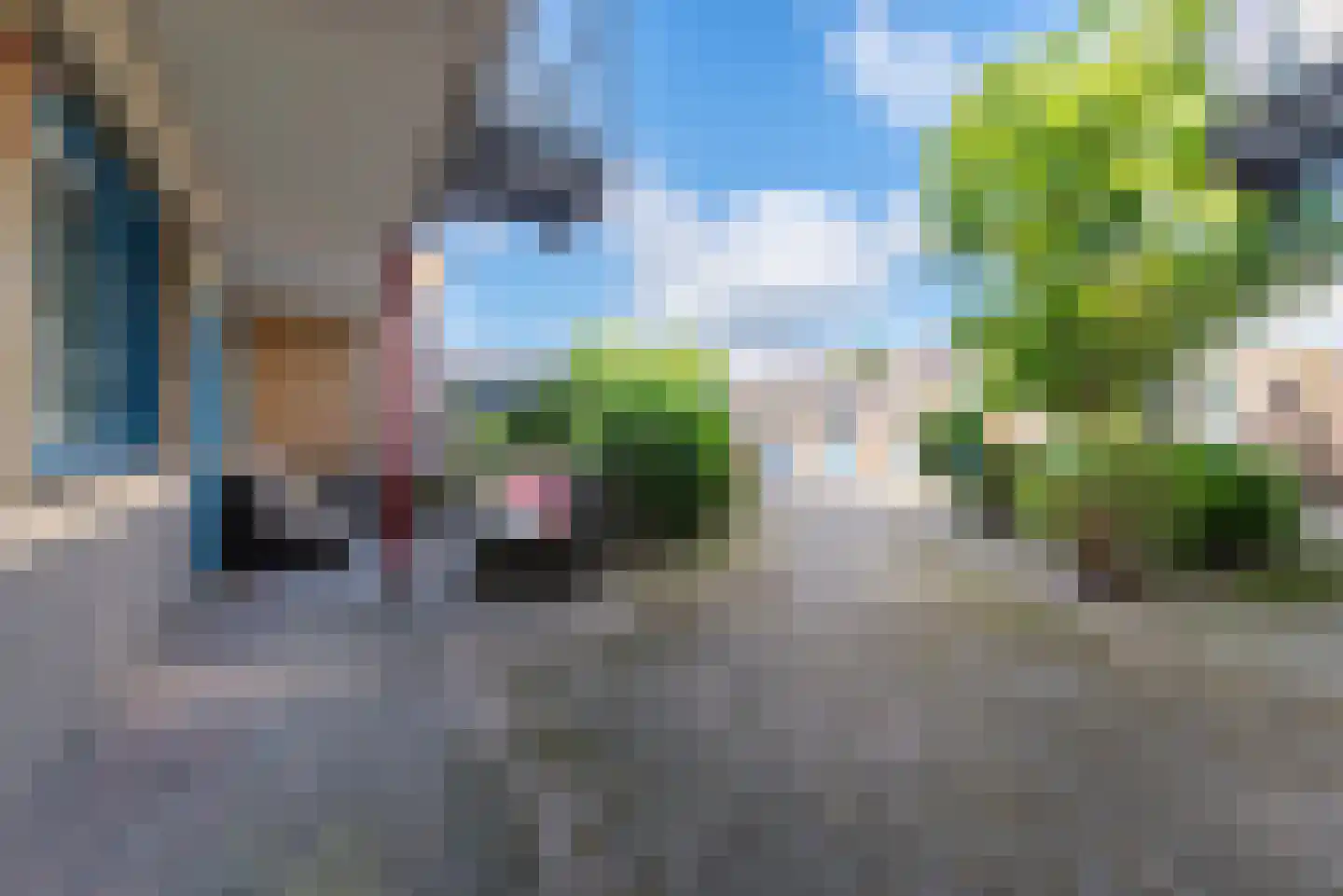 Weegbree 40 Veenendaal thumbnail 31