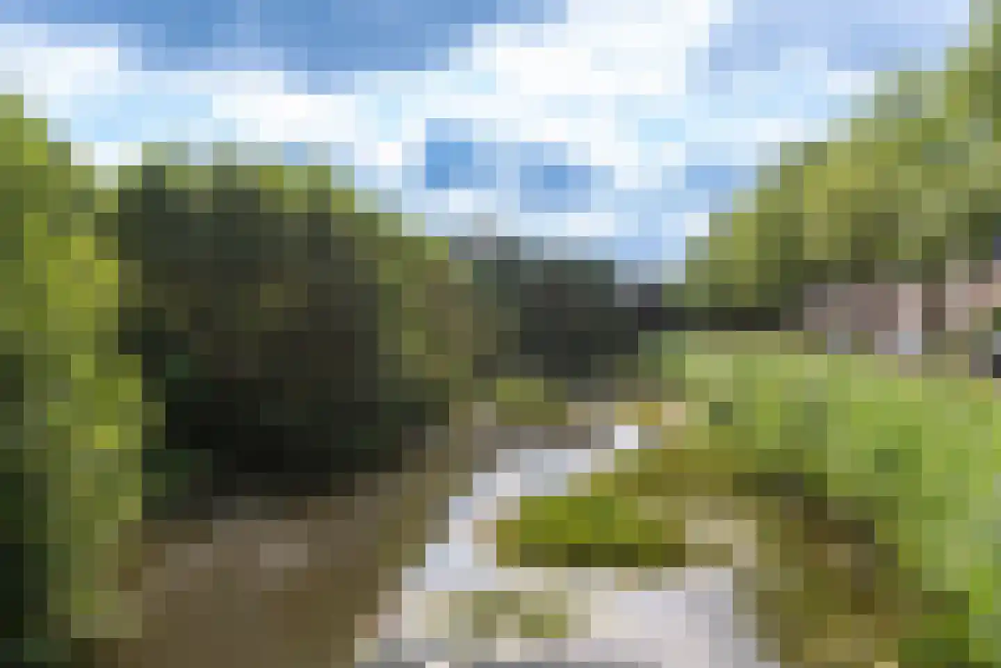 Weegbree 40 Veenendaal thumbnail 38