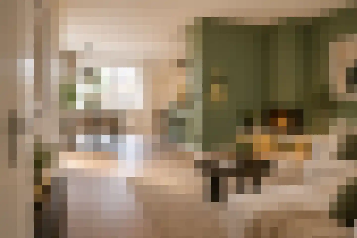 Weegbree 41 Gendringen thumbnail 14