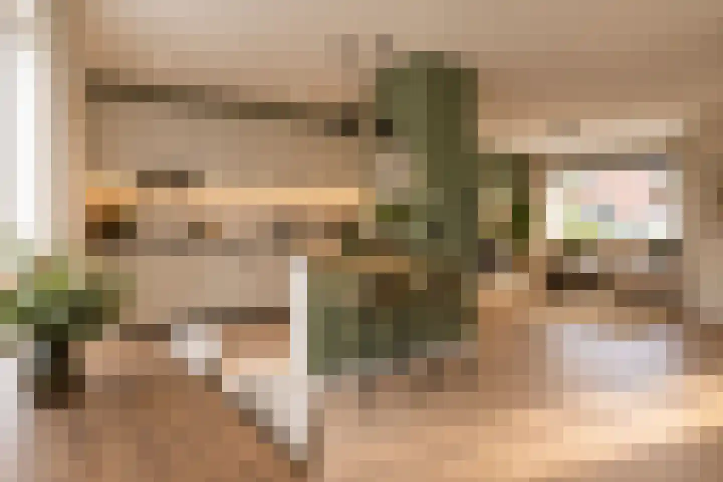 Weegbree 41 Gendringen thumbnail 20