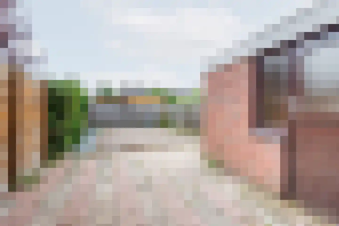 Weegbree 41 Gendringen thumbnail 49