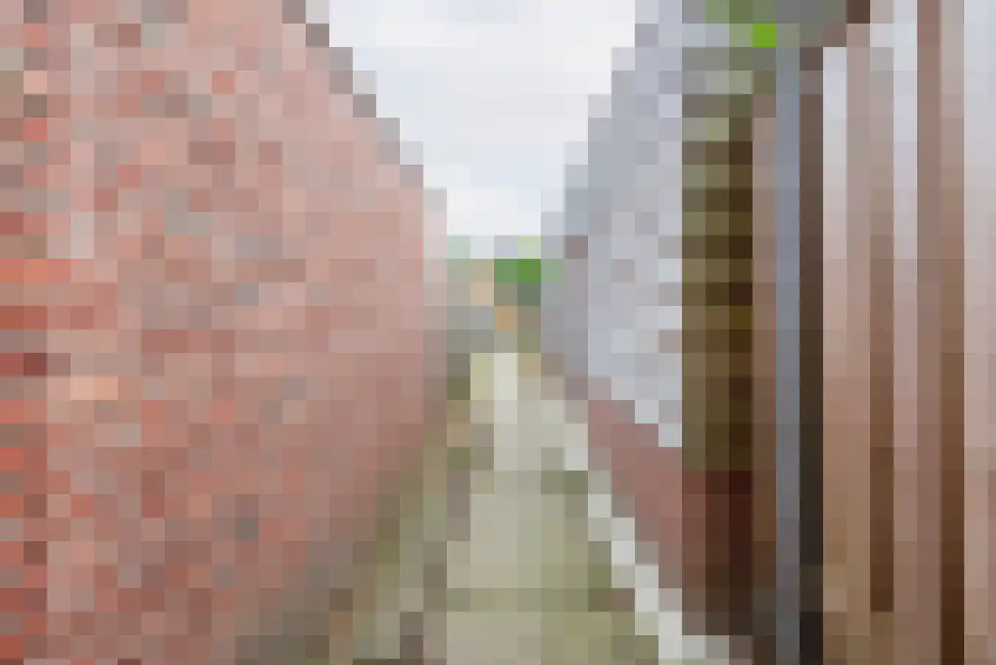 Weegbree 41 Gendringen thumbnail 53