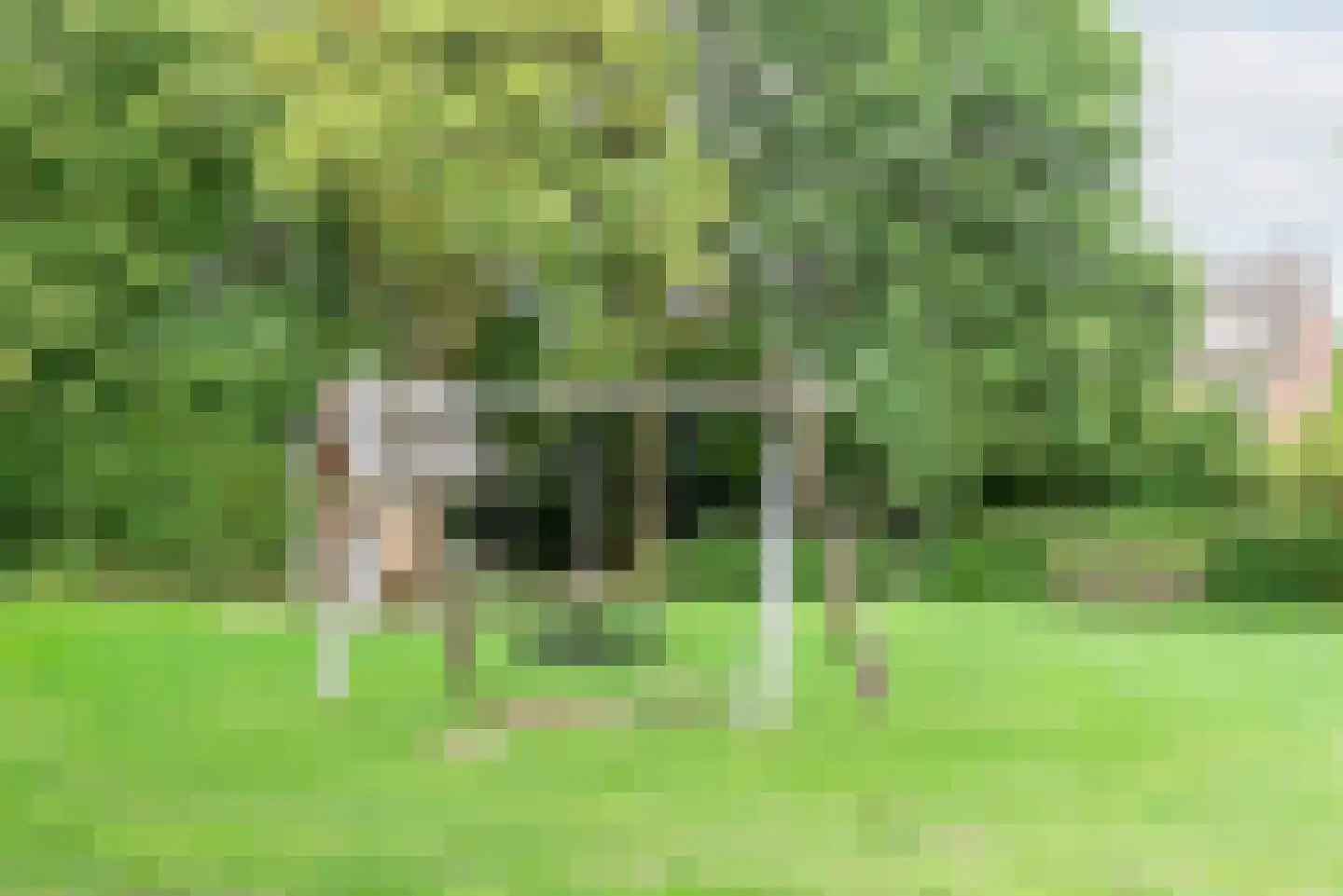 Weegbree 41 Gendringen thumbnail 54