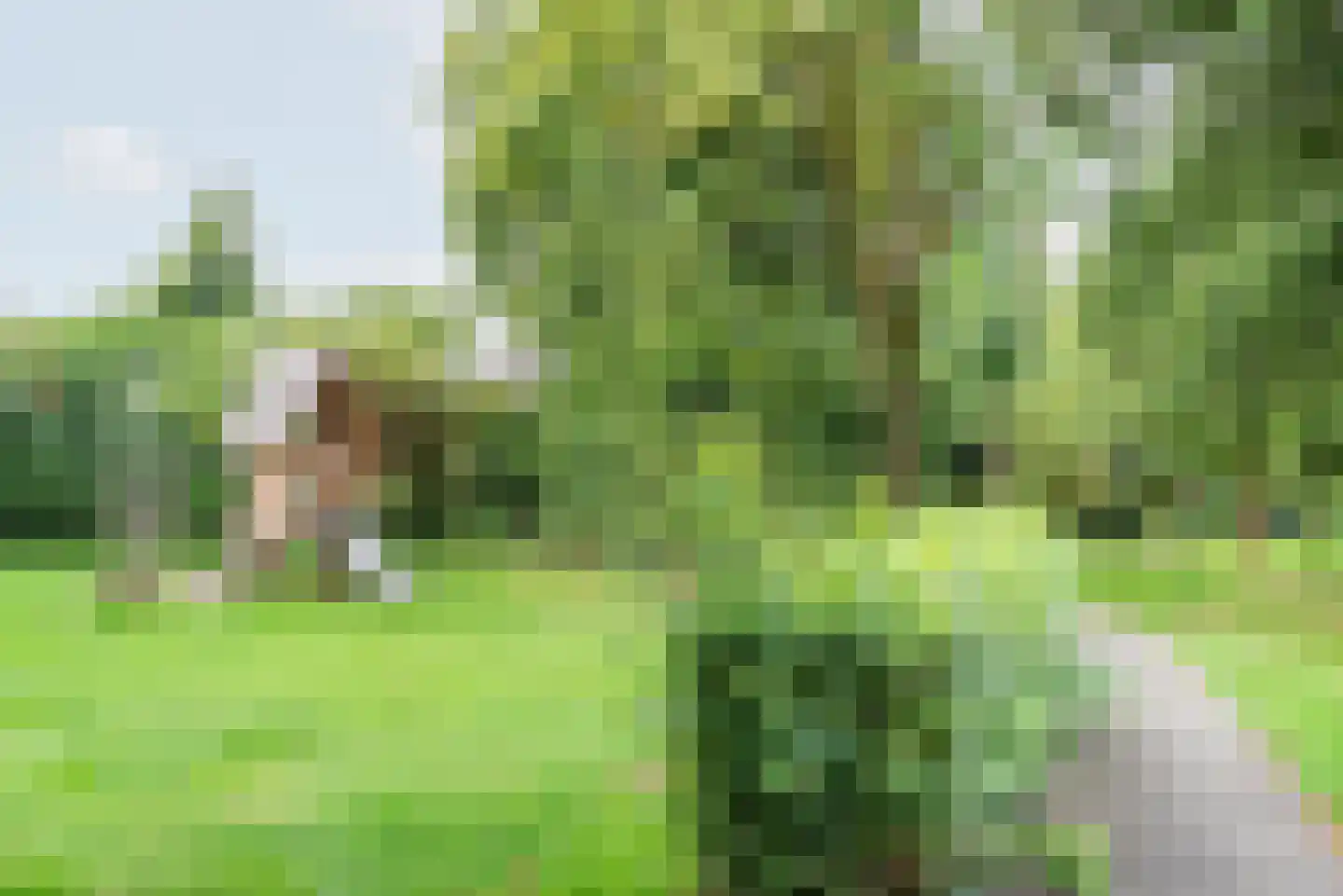 Weegbree 41 Gendringen thumbnail 55