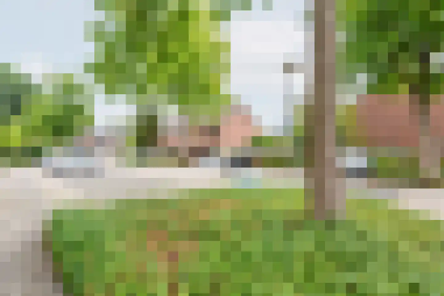 Weegbree 41 Gendringen thumbnail 57