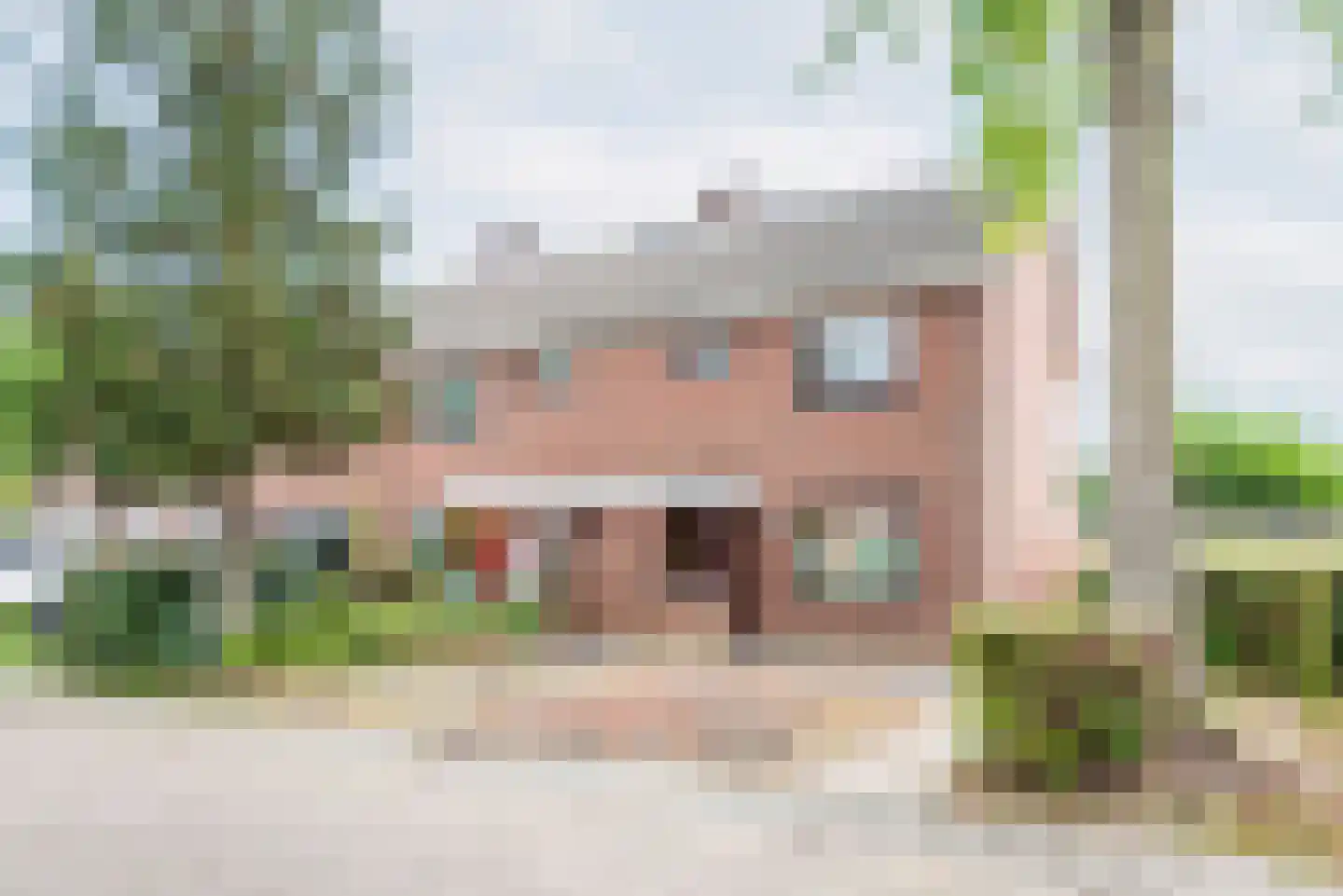 Weegbree 41 Gendringen thumbnail 6