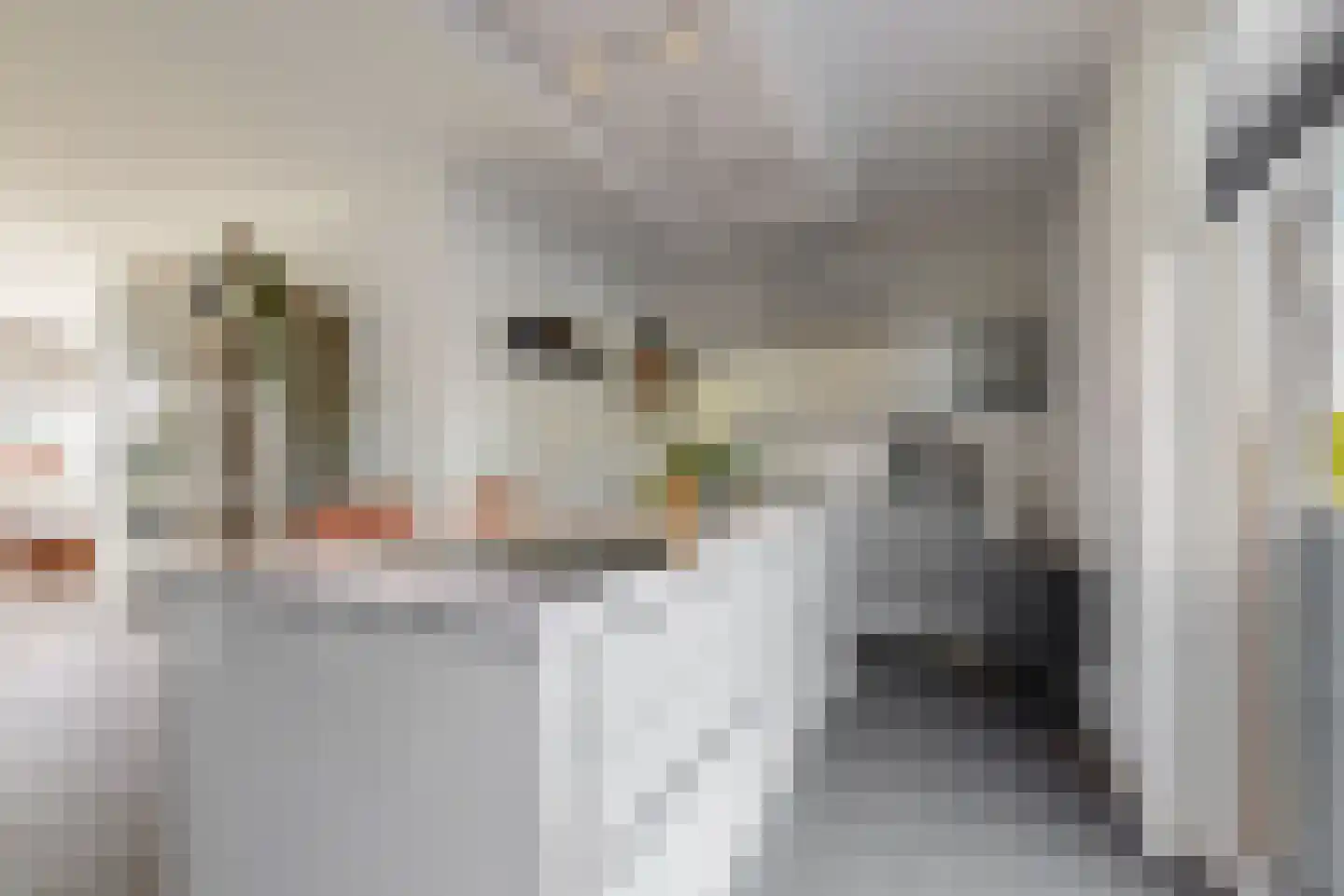 Weegbree 43 Heerhugowaard thumbnail 14