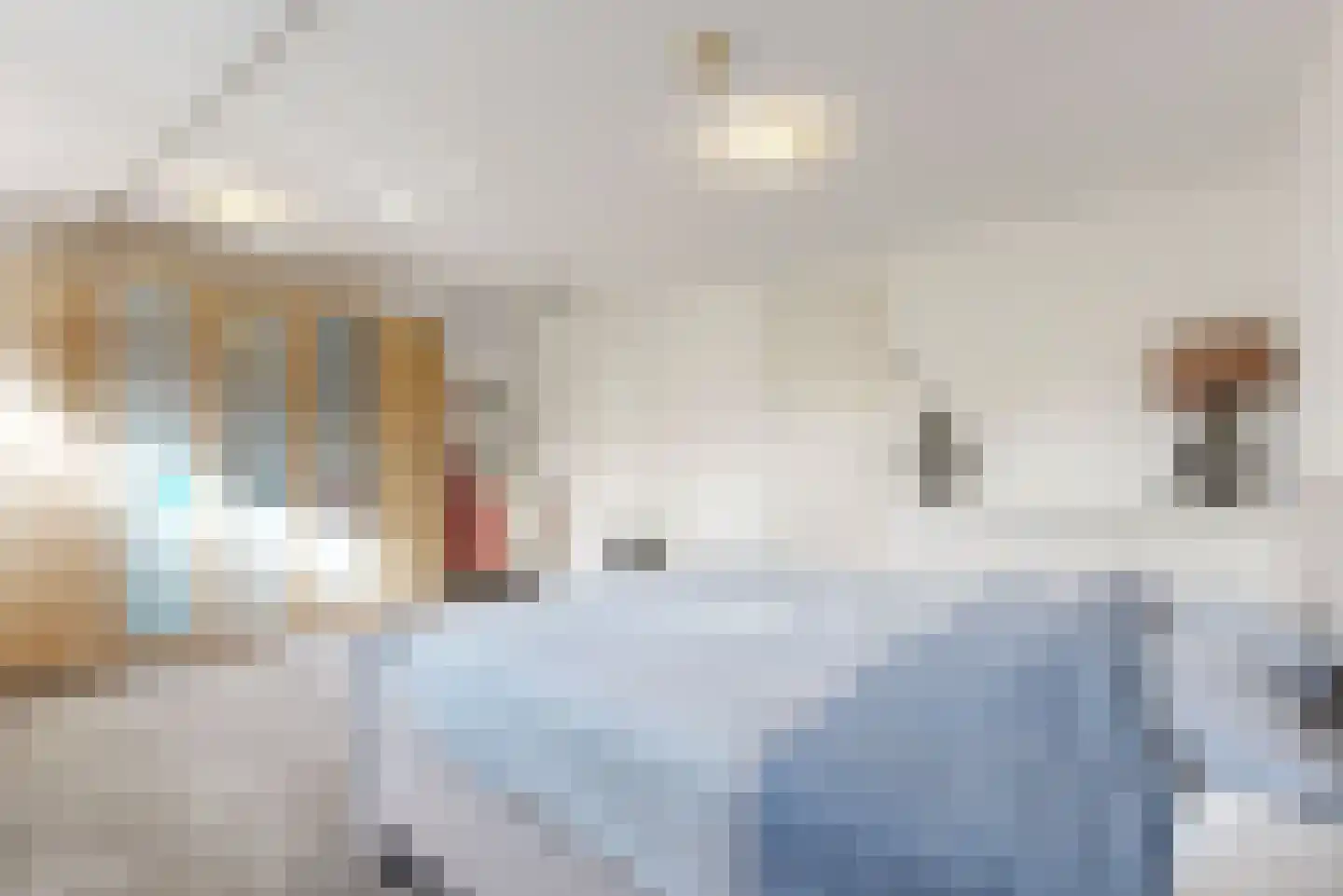 Weegbree 43 Heerhugowaard thumbnail 36