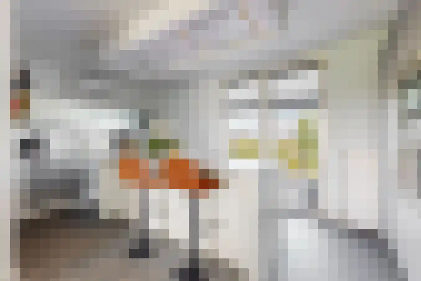 Weegbree 43 Heerhugowaard thumbnail 4