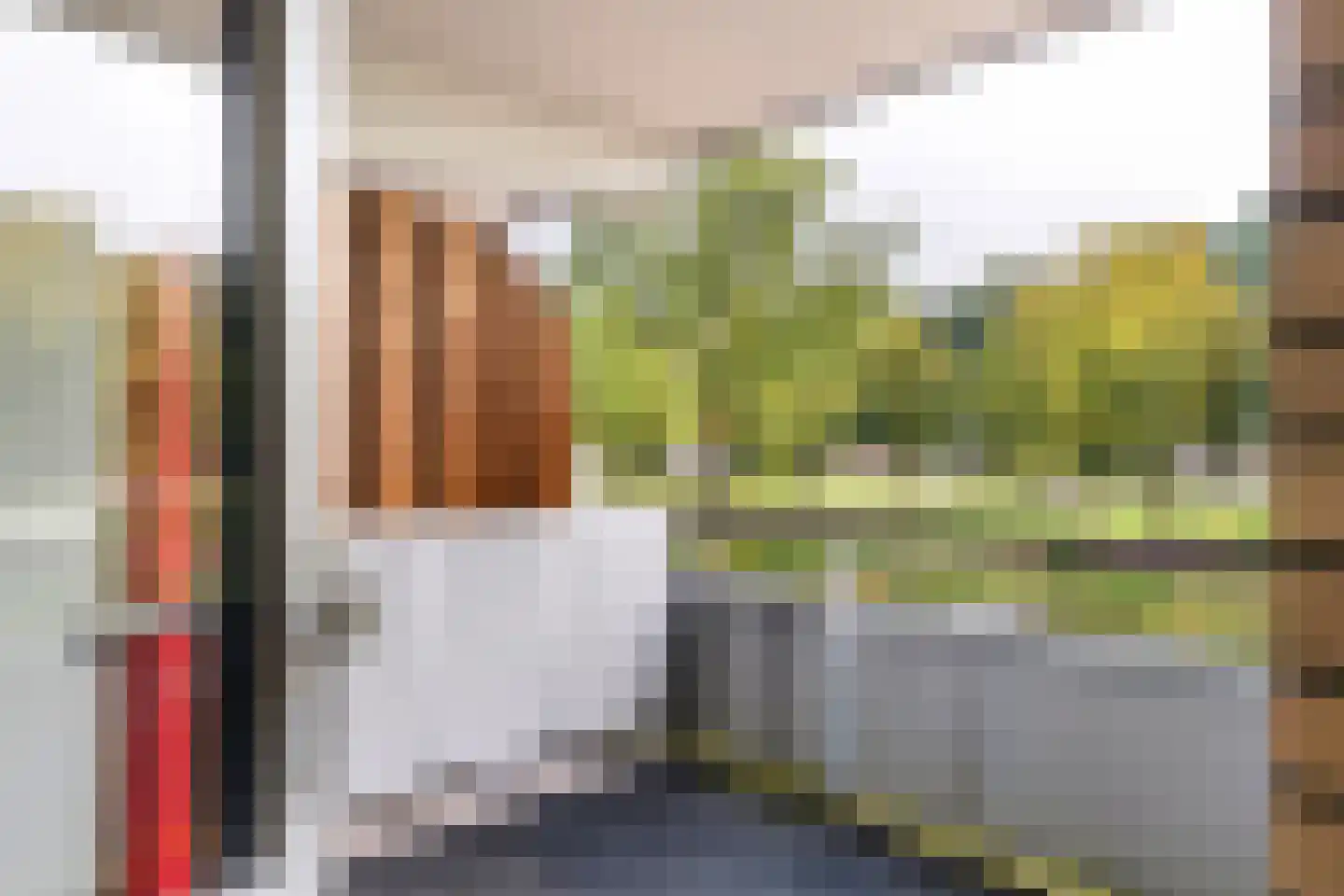 Weegbree 46 Veenendaal thumbnail 12