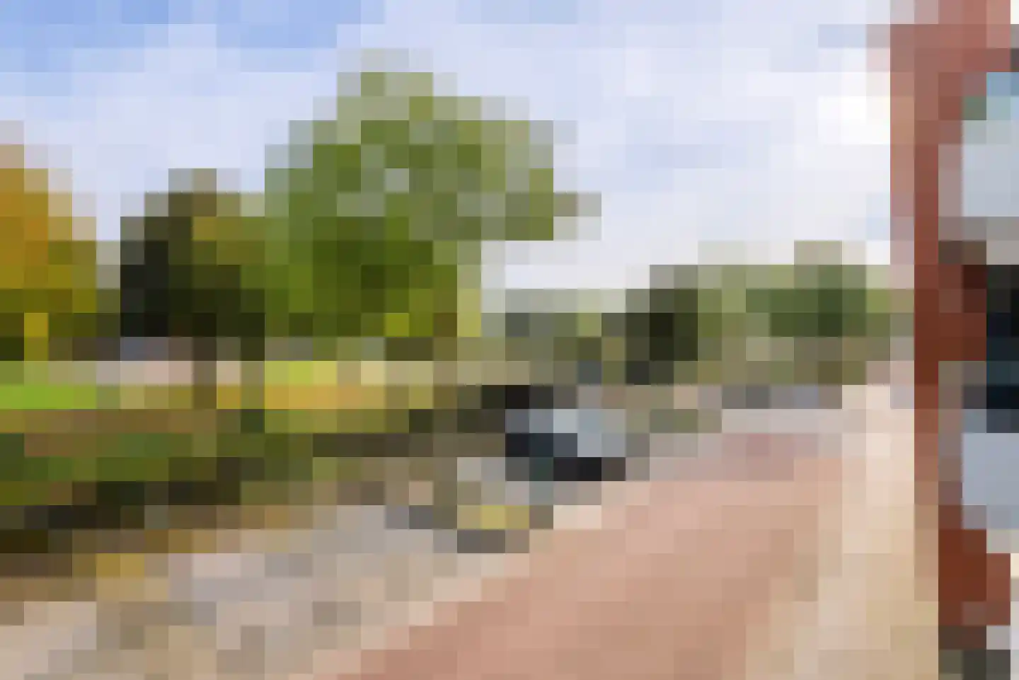 Weegbree 46 Veenendaal thumbnail 13