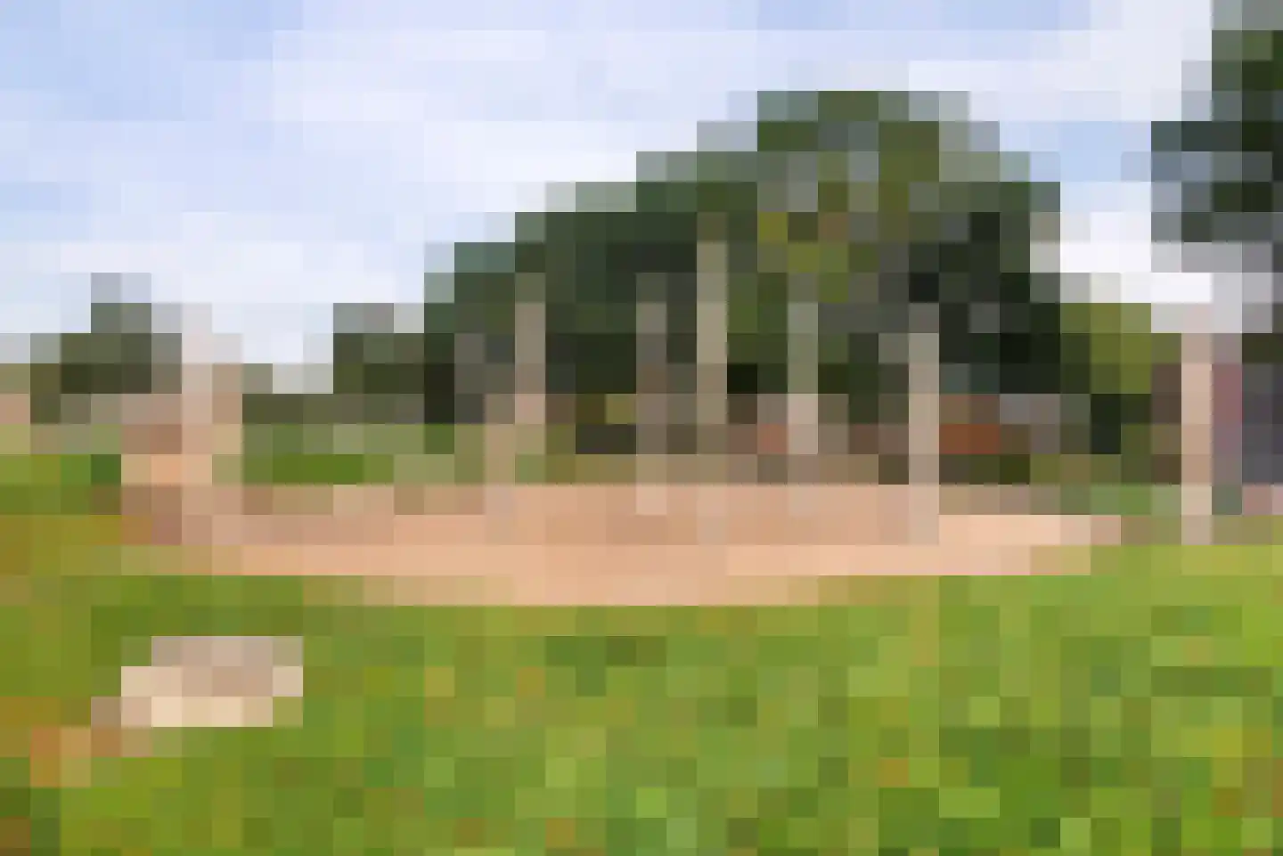 Weegbree 46 Veenendaal thumbnail 25