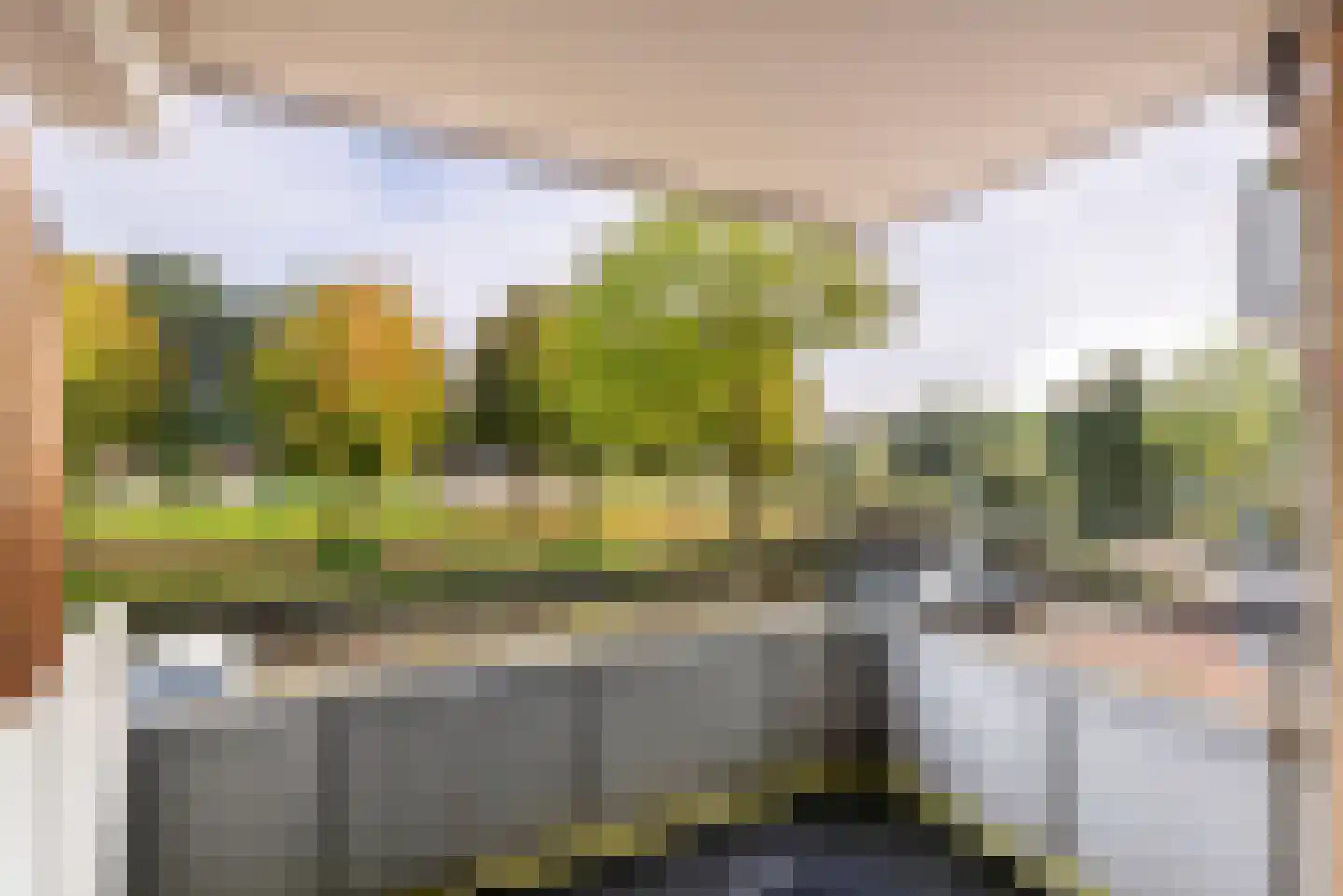 Weegbree 46 Veenendaal thumbnail 4