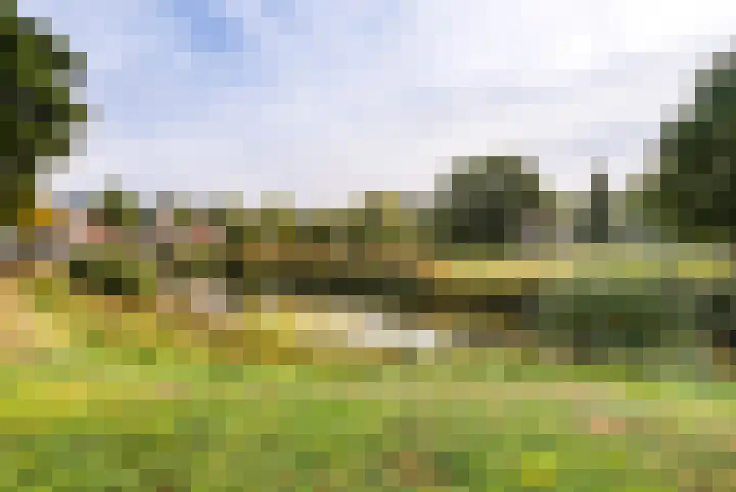 Weegbree 46 Veenendaal thumbnail 5